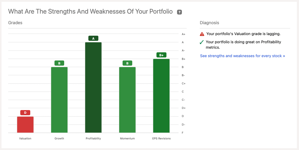 Portfolio Strengths and Weeknesses